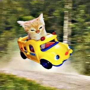 Chat qui roule dans une voiture jaune